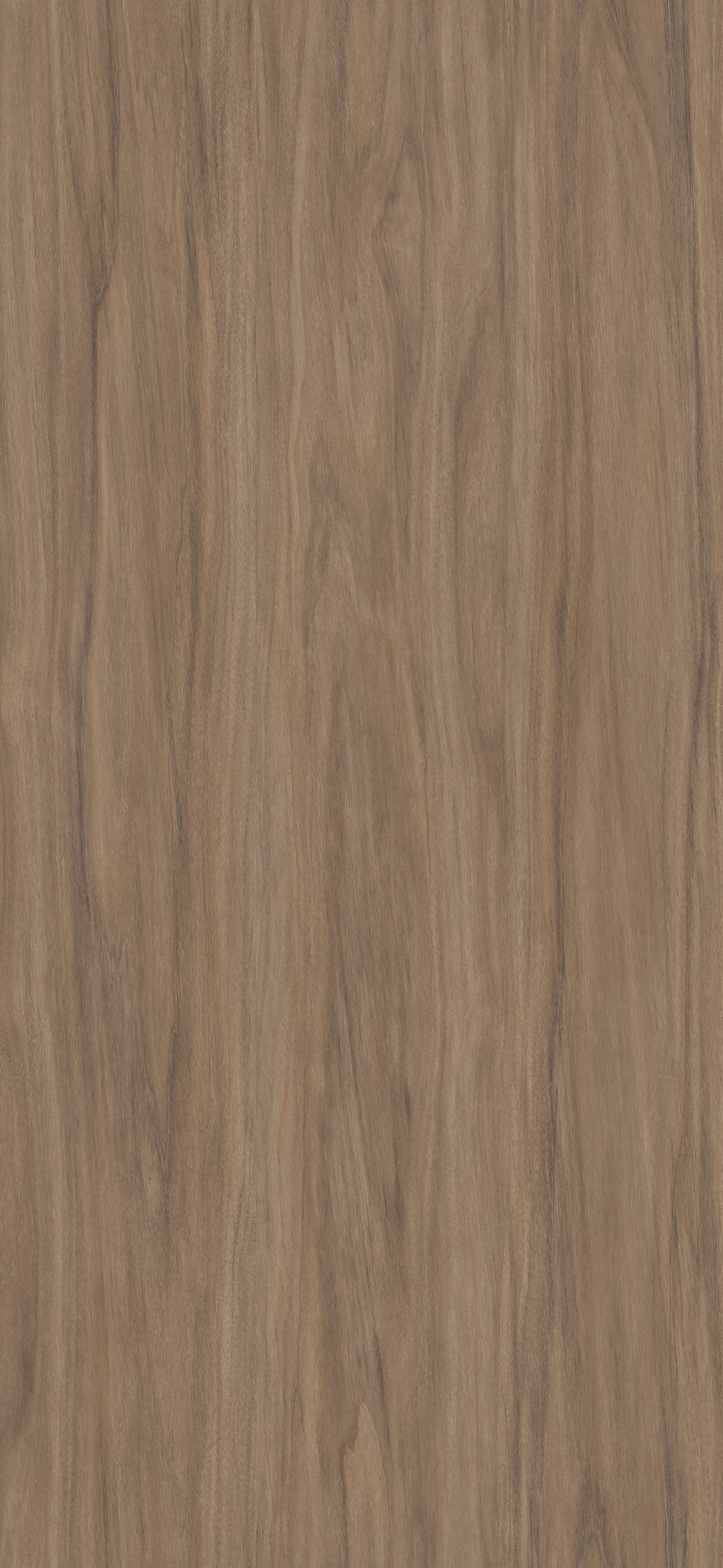 Willow Tree EIR - Interprint